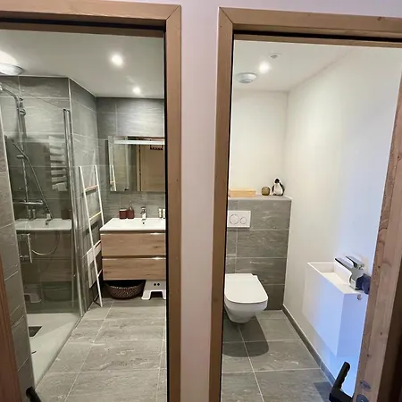 Appartement Coup De Coeur Aux Pieds Avec Piscine, Spa, Et Fitness Alpe d'Huez